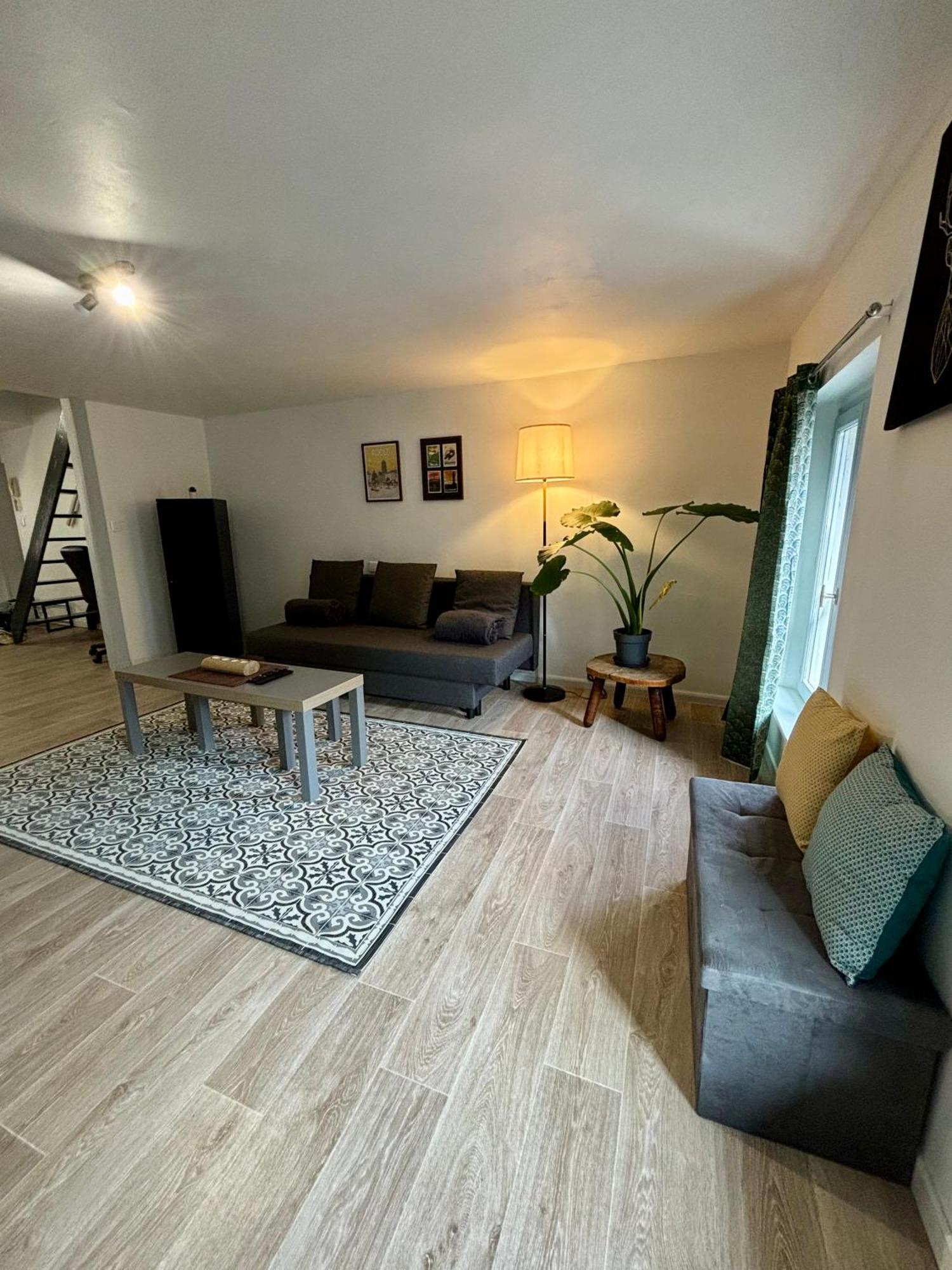 Appartement Hyper Centre Ροντέζ Εξωτερικό φωτογραφία
